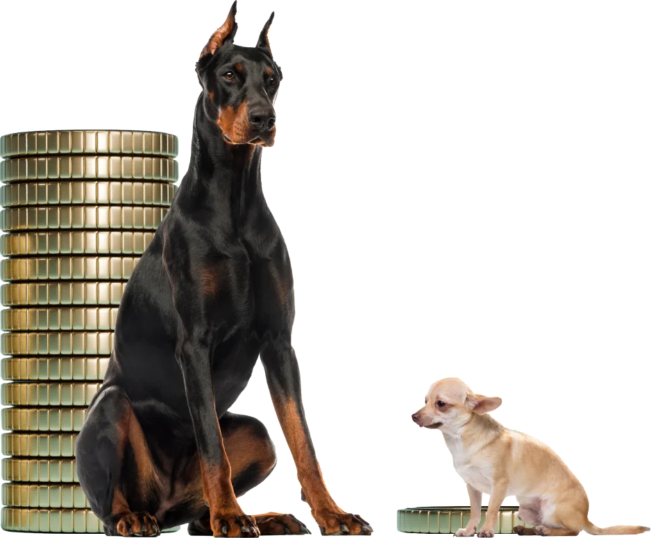 Comparativa entre plan personal de retiro y Afore