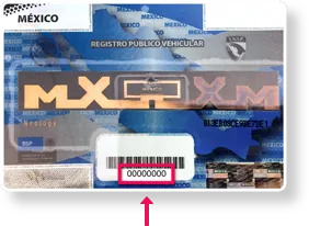 Ejemplo de holograma REPUVE o NCI